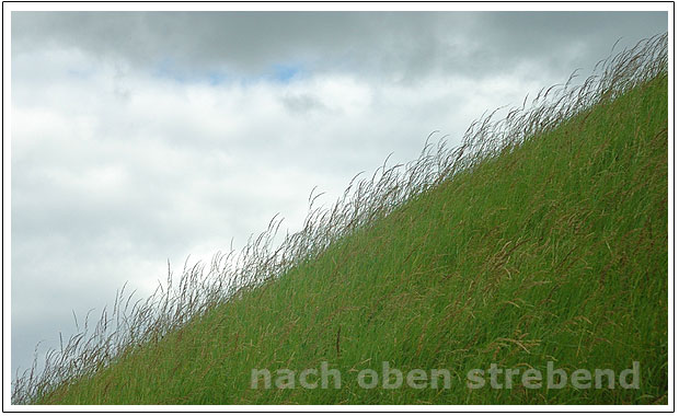 Webdesign Reisinger Wien