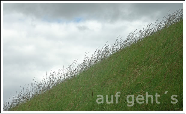 Webdesign Reisinger Wien