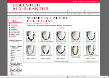Webdesigner Reisinger